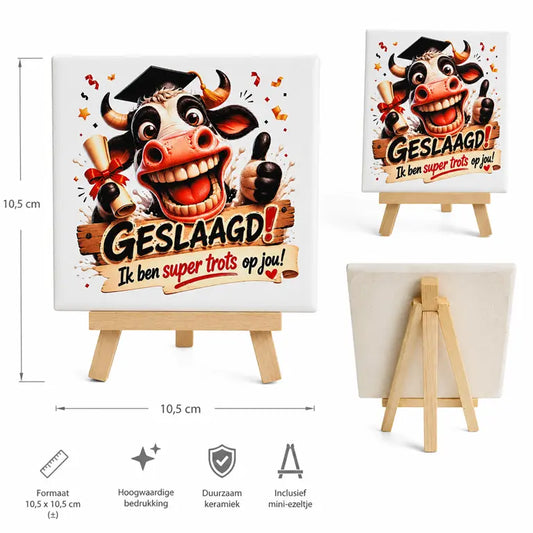 Keramisch tegeltje geslaagd cadeau 10,5 x 10,5 cm